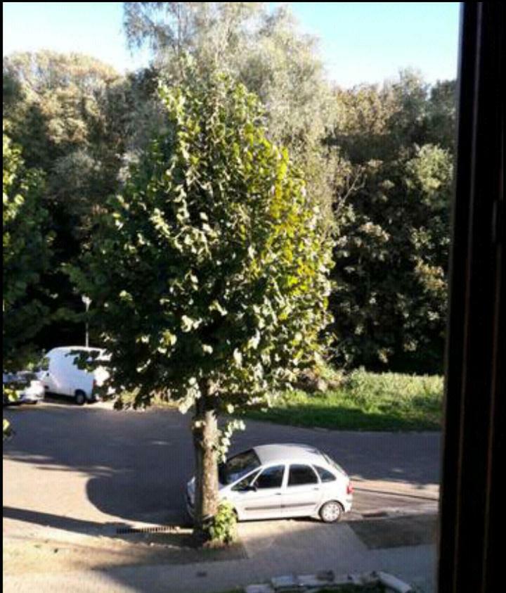 Chez Mimi - Vue Parc Bruxelles